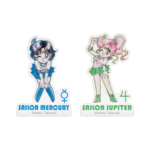 限定シリアルナンバー付き‼︎美品⭐︎セーラームーンオリジナルピクチャーコレクション Sailor Moon store ONLINE