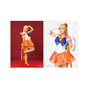 �\���u���}�C�h05 �yTeam Gold Moon�z�X�[�p�[�Z�[���[���B�[�i�X�� ���΂ЂȂ�