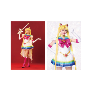 �\���u���}�C�h13 �yTeam Silver Moon�z�X�[�p�[�Z�[���[���[���� �R������