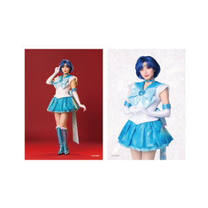 �\���u���}�C�h14 �yTeam Silver Moon�z�X�[�p�[�Z�[���[�}�[�L�����[�� �ێR����