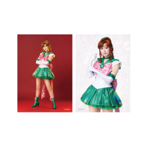 �\���u���}�C�h16 �yTeam Silver Moon�z�X�[�p�[�Z�[���[�W���s�^�[�� ���{��仗�