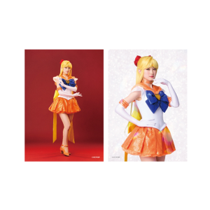 �\���u���}�C�h17 �yTeam Silver Moon�z�X�[�p�[�Z�[���[���B�[�i�X�� ���R����