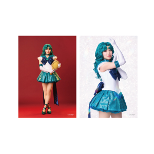 �\���u���}�C�h20 �yTeam Silver Moon�z�X�[�p�[�Z�[���[�l�v�`���[���� �ؔ����