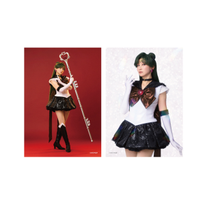 �\���u���}�C�h21 �yTeam Silver Moon�z�X�[�p�[�Z�[���[�v���[�g�� �ʎR�엢