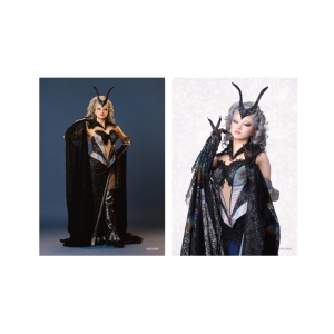 �\���u���}�C�h24 �yTeam Silver Moon�z�N�C�[���E���@���V�A�� �������
